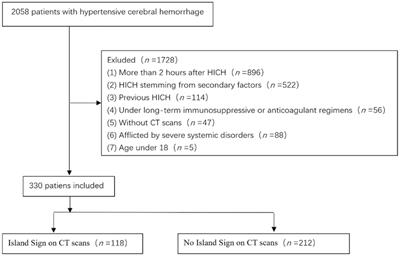 Association between admission serum potassium concentration and the island sign on cranial CT in HICH patients: a cross-sectional study